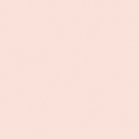 Riley Blake Designs, Confetti Cottons, Ballerina