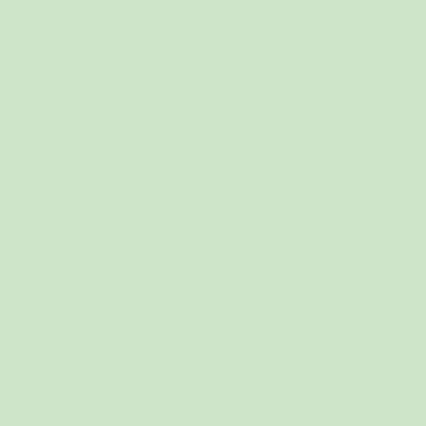 Riley Blake Designs, Confetti Cottons, Hint of Mint