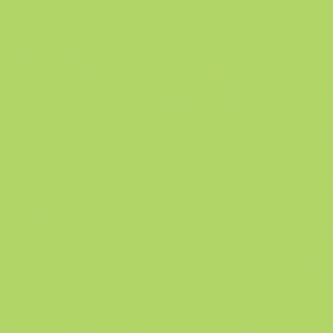 Riley Blake Designs, Confetti Cottons, Wasabi