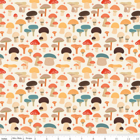 Riley Blake Designs, Secret Garden, Mushrooms, Cloud