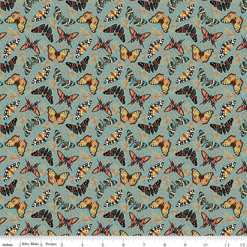 Riley Blake Designs, Secret Garden, Moths, Wedgewood