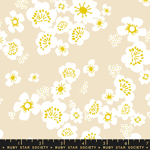 Ruby Star Society Paper Cuts 2, Hana, Parchment