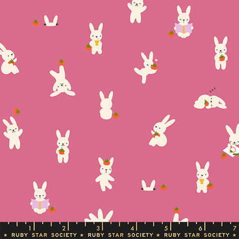 Ruby Star Society, Persimmon, Bun E and Simmy, Hibiscus