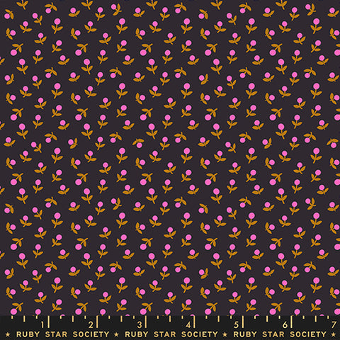 Ruby Star Society Catnap, Sprout, Black
