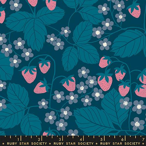 Ruby Star Society Reimagined Landscapes, Strawberry Fields, Galaxy